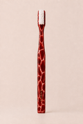 AGATE TOOTHBRUSH